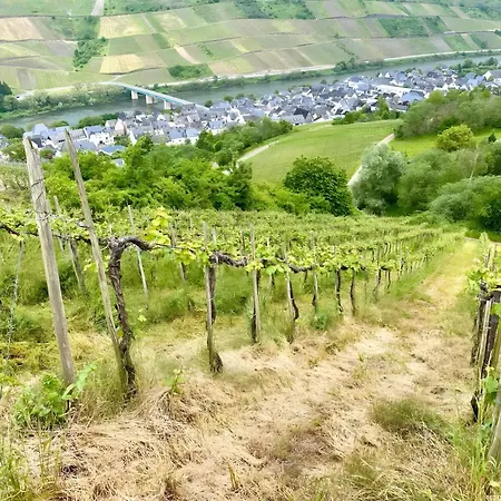 Weingeist דירה *