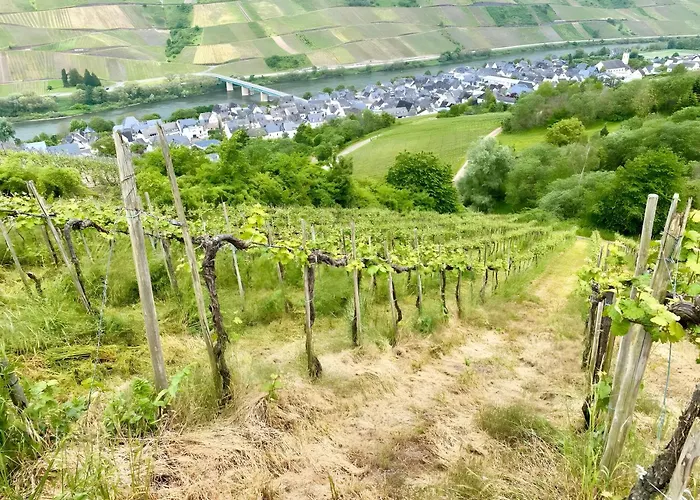 Weingeist Apartament *